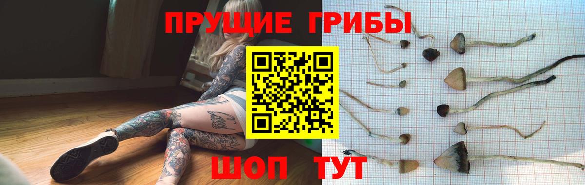 Галлюциногенные грибы Magic Shrooms  Галлюциногенные грибы мухоморы  Россошь  Вход с VPN 